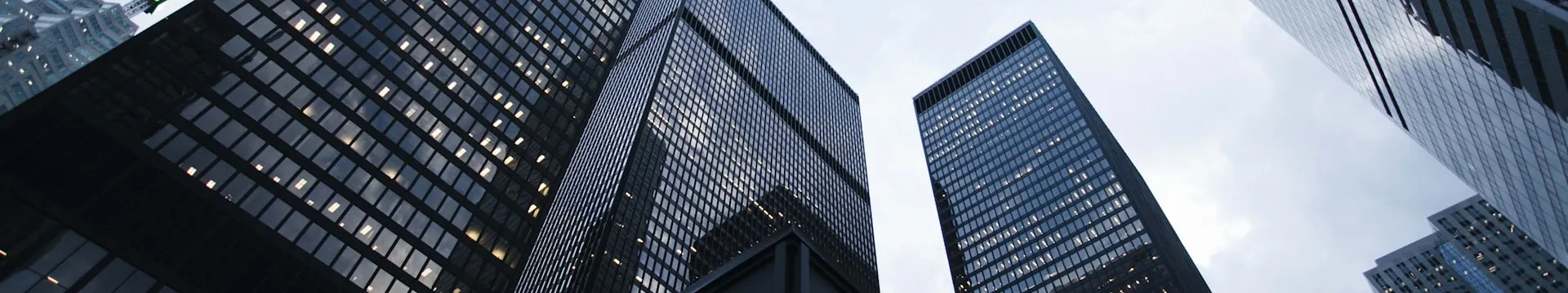 Horizonte corporativo e conexões internacionais da Vitrine Global